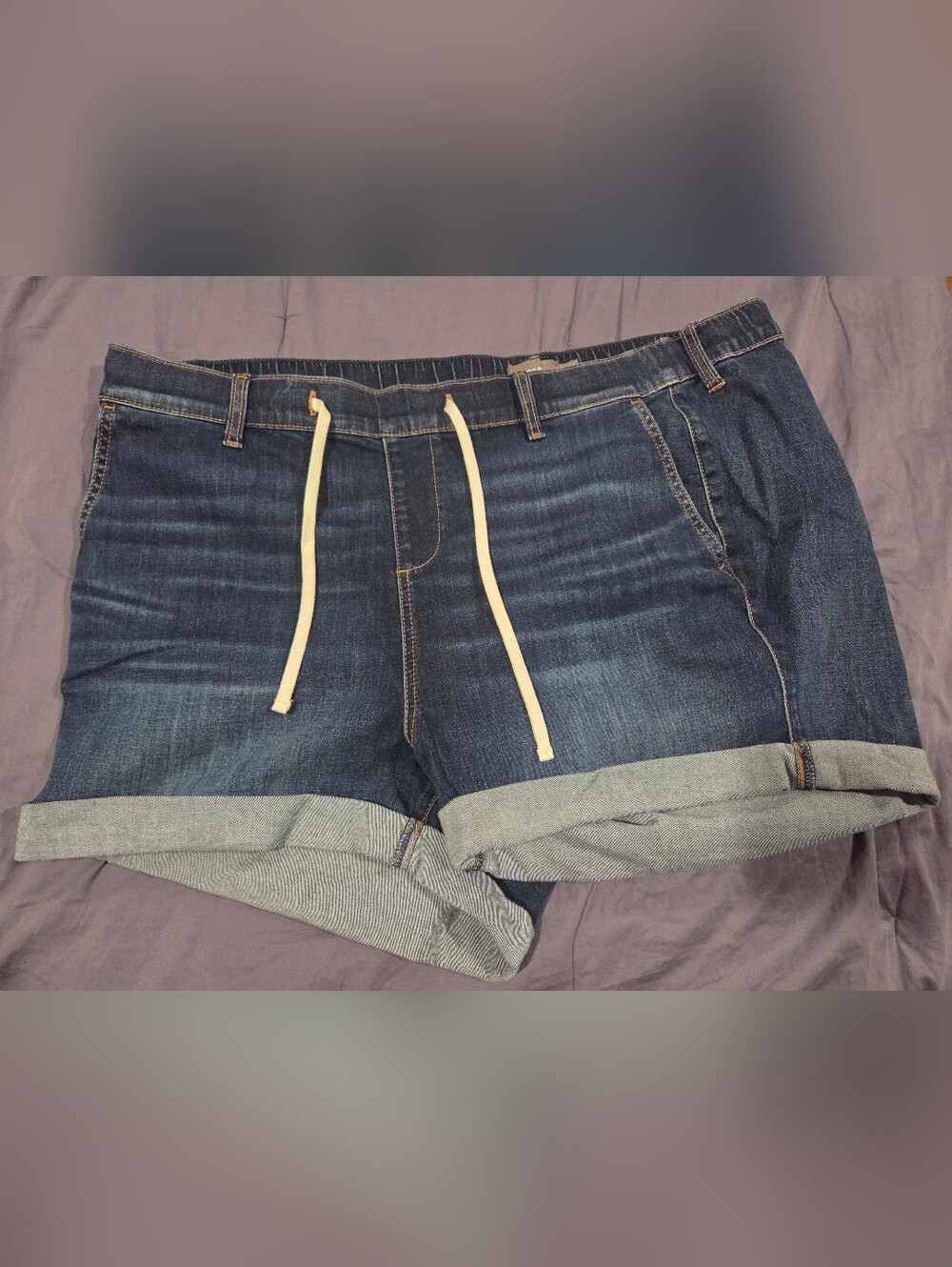 Torrid Denim Shorts
